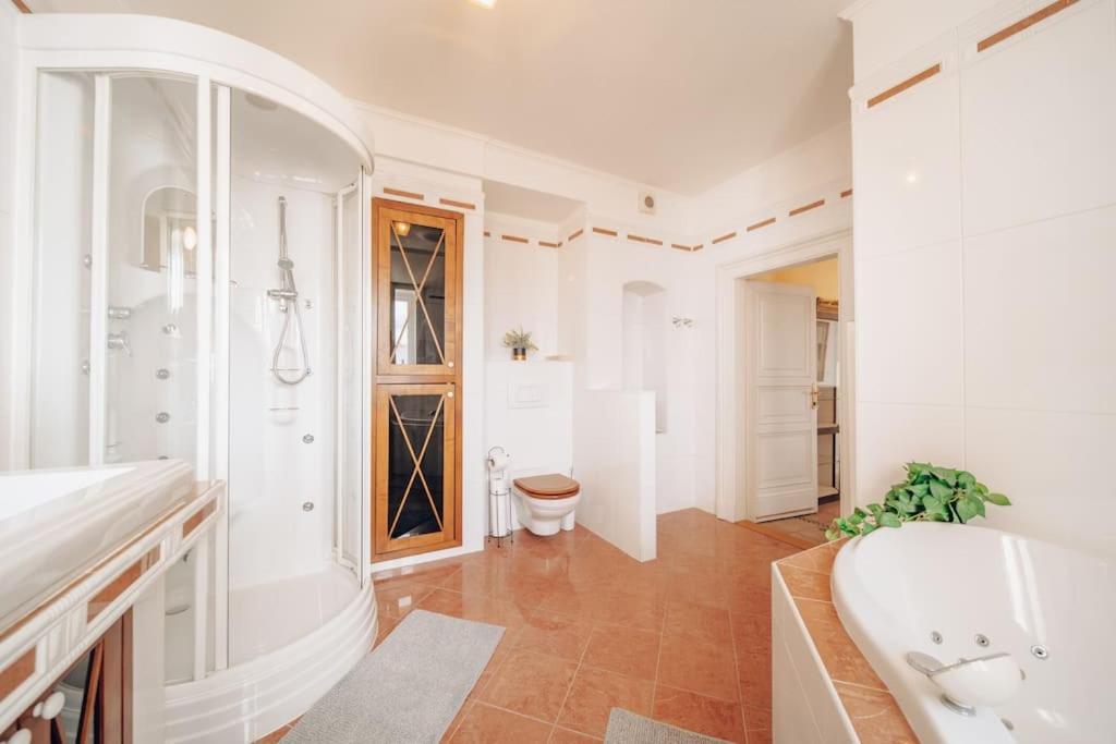 Magnificent Historical Penthouse In The Heart Of * Praga